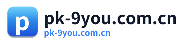 pk-9you.com.cn Logo